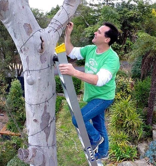 Dual Purpose Ladder Pro AL with Tree Pole 6 Dual Purpose Ladder Pro AL with Tree Pole 6