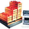 Pallet Platform Scale MELP 1