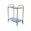 Stainless Steel Platform Trolleys Simple Two Tiered